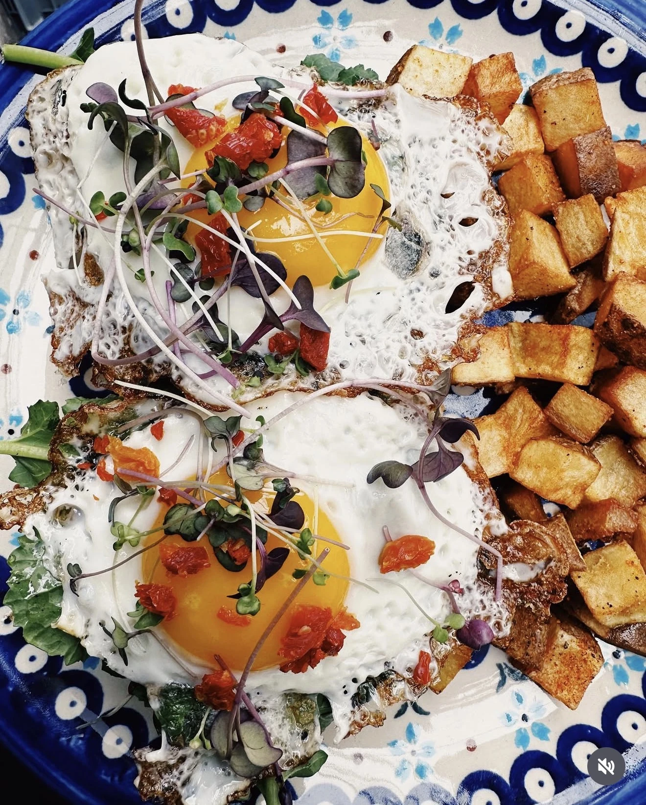 Brunch dish